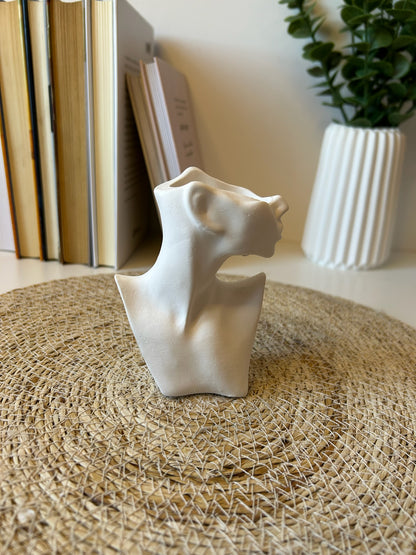 Pack jarrones mujeres